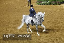 19YN_22286 thumbnail