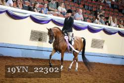 19YN_22302 thumbnail