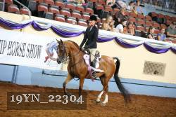 19YN_22304 thumbnail