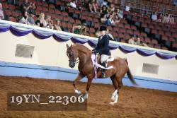 19YN_22306 thumbnail