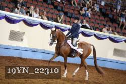19YN_22310 thumbnail