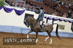 19YN_40287 thumbnail