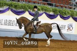 19YN_40289 thumbnail