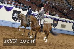 19YN_40291 thumbnail