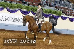 19YN_40292 thumbnail