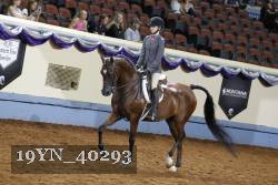 19YN_40293 thumbnail