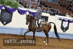 19YN_40294 thumbnail