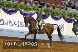 19YN_40295 thumbnail