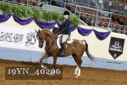 19YN_40296 thumbnail