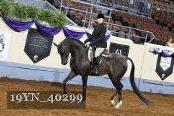 19YN_40299 thumbnail