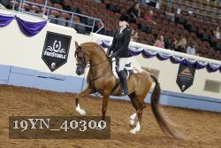 19YN_40300 thumbnail