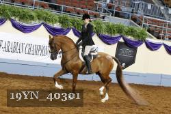 19YN_40301 thumbnail