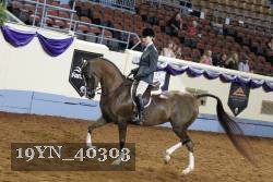 19YN_40303 thumbnail