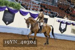 19YN_40304 thumbnail