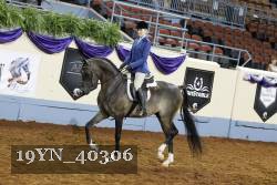 19YN_40306 thumbnail