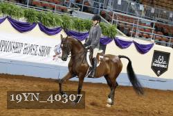 19YN_40307 thumbnail