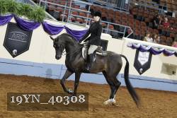 19YN_40308 thumbnail