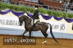 19YN_40309 thumbnail