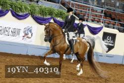 19YN_40310 thumbnail