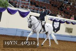 19YN_40312 thumbnail