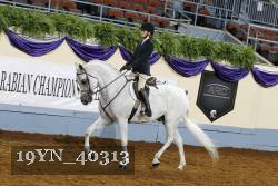 19YN_40313 thumbnail