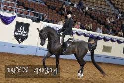 19YN_40314 thumbnail