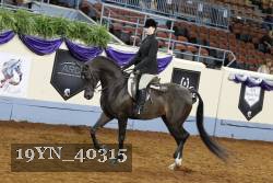 19YN_40315 thumbnail