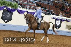 19YN_40317 thumbnail