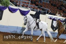 19YN_40320 thumbnail