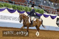 19YN_40322 thumbnail
