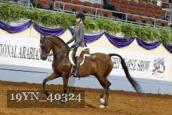 19YN_40324 thumbnail
