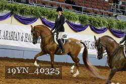 19YN_40325 thumbnail