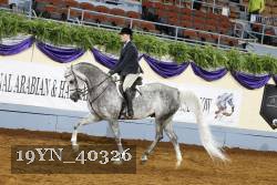19YN_40326 thumbnail