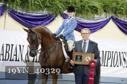 19YN_40329 thumbnail