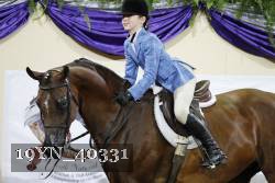 19YN_40331 thumbnail