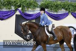 19YN_40332 thumbnail