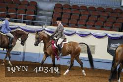 19YN_40349 thumbnail