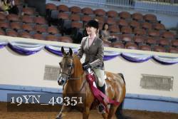19YN_40351 thumbnail