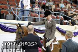 19YN_40352 thumbnail