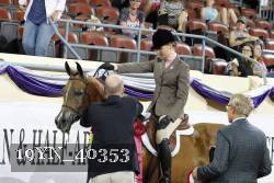 19YN_40353 thumbnail