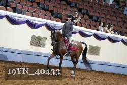 19YN_40433 thumbnail