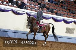 19YN_40435 thumbnail