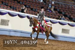 19YN_40439 thumbnail