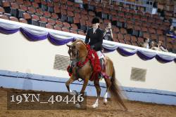 19YN_40446 thumbnail