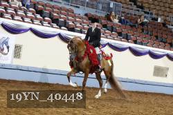 19YN_40448 thumbnail