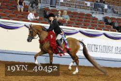 19YN_40452 thumbnail