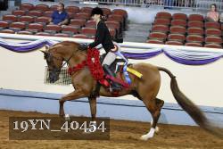 19YN_40454 thumbnail