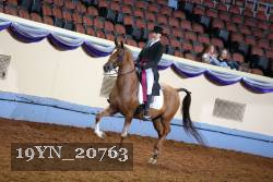 19YN_20763 thumbnail