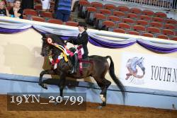 19YN_20799 thumbnail