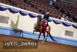 19YN_20801 thumbnail